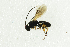  ( - NHMO-ENT-292524)  @12 [ ] CreativeCommons - Attribution Non-Commercial Share-Alike (2018) Unspecified University of Oslo, Natural History Museum