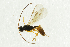  ( - NHMO-ENT-292592)  @12 [ ] CreativeCommons - Attribution Non-Commercial Share-Alike (2018) Unspecified University of Oslo, Natural History Museum