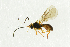  ( - NHMO-ENT-298337)  @13 [ ] CreativeCommons - Attribution Non-Commercial Share-Alike (2018) Unspecified University of Oslo, Natural History Museum