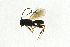  ( - NHMO-ENT-298371)  @13 [ ] CreativeCommons - Attribution Non-Commercial Share-Alike (2018) Unspecified University of Oslo, Natural History Museum