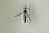  ( - NHMO-DAR-13363)  @12 [ ] CreativeCommons - Attribution Non-Commercial Share-Alike (2017) Unspecified University of Oslo, Natural History Museum