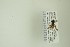 ( - NHMO-DAR-12938)  @12 [ ] CreativeCommons - Attribution Non-Commercial Share-Alike (2017) Unspecified University of Oslo, Natural History Museum