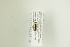  ( - NHMO-DAR-13067)  @12 [ ] CreativeCommons - Attribution Non-Commercial Share-Alike (2017) Unspecified University of Oslo, Natural History Museum