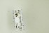  ( - NHMO-DAR-13081)  @12 [ ] CreativeCommons - Attribution Non-Commercial Share-Alike (2017) Unspecified University of Oslo, Natural History Museum