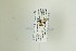  ( - NHMO-DAR-13207)  @11 [ ] CreativeCommons - Attribution Non-Commercial Share-Alike (2017) Unspecified University of Oslo, Natural History Museum