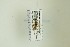  ( - NHMO-DAR-13300)  @12 [ ] CreativeCommons - Attribution Non-Commercial Share-Alike (2017) Unspecified University of Oslo, Natural History Museum