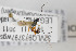  ( - NHMO-ENT-510473)  @11 [ ] CreativeCommons - Attribution Non-Commercial Share-Alike (2019) Unspecified University of Oslo, Natural History Museum