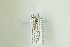  ( - NHMO-DAR-13164)  @12 [ ] CreativeCommons - Attribution Non-Commercial Share-Alike (2017) Unspecified University of Oslo, Natural History Museum