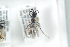  ( - HYMNI2469)  @11 [ ] CreativeCommons - Attribution Non-Commercial Share-Alike (2018) Arnstein Staverlokk Norwegian Institute of Nature Research