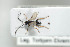  ( - HYMNI1756)  @12 [ ] CreativeCommons - Attribution Non-Commercial Share-Alike (2016) Arnstein Staverlokk Norwegian Institute of Nature Research
