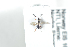  ( - HYMNI2493)  @11 [ ] CreativeCommons - Attribution Non-Commercial Share-Alike (2018) Arnstein Staverlokk Norwegian Institute of Nature Research