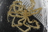  ( - Sletvik2016_95)  @11 [ ] CreativeCommons - Attribution Non-Commercial Share-Alike (2016) University of Bergen Natural History Collections