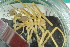  (Nymphon helleri - ZMBN_104930)  @11 [ ] CreativeCommons - Attribution Non-Commercial Share-Alike (2016) University of Bergen Natural History Collections