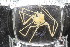  ( - ZMBN_104935)  @11 [ ] CreativeCommons - Attribution Non-Commercial Share-Alike (2016) University of Bergen Natural History Collections