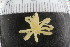  ( - ZMBN_104942)  @11 [ ] CreativeCommons - Attribution Non-Commercial Share-Alike (2016) University of Bergen Natural History Collections