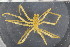  ( - ZMBN_104944)  @11 [ ] CreativeCommons - Attribution Non-Commercial Share-Alike (2016) University of Bergen Natural History Collections