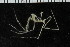  ( - ZMBN_104949)  @11 [ ] CreativeCommons - Attribution Non-Commercial Share-Alike (2016) University of Bergen Natural History Collections
