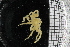  ( - ZMBN_104967)  @11 [ ] CreativeCommons - Attribution Non-Commercial Share-Alike (2016) University of Bergen Natural History Collections