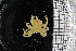  ( - ZMBN_104969)  @11 [ ] CreativeCommons - Attribution Non-Commercial Share-Alike (2016) University of Bergen Natural History Collections