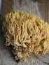  ( - O-F 294286)  @11 [ ] Unspecified (default): All Rights Reserved  Unspecified Unspecified