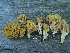  ( - O-F 294425)  @11 [ ] Unspecified (default): All Rights Reserved  Unspecified Unspecified