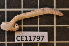  ( - CE11797)  @11 [ ] CreativeCommons - Attribution Non-Commercial Share-Alike (2011) Department of Zoology, University of Gothenburg Department of Zoology, University of Gothenburg