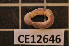  ( - CE12646)  @13 [ ] CreativeCommons - Attribution Non-Commercial Share-Alike (2011) Department of Zoology, University of Gothenburg Department of Zoology, University of Gothenburg