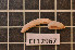  ( - CE12967)  @11 [ ] CreativeCommons - Attribution Non-Commercial Share-Alike (2011) Department of Zoology, University of Gothenburg Department of Zoology, University of Gothenburg