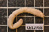  ( - CE12968)  @13 [ ] CreativeCommons - Attribution Non-Commercial Share-Alike (2011) Department of Zoology, University of Gothenburg Department of Zoology, University of Gothenburg
