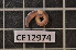  ( - CE12974)  @13 [ ] CreativeCommons - Attribution Non-Commercial Share-Alike (2011) Department of Zoology, University of Gothenburg Department of Zoology, University of Gothenburg
