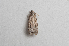  ( - NORIN_224_2013)  @12 [ ] CreativeCommons - Attribution Non-Commercial Share-Alike (2013) Unspecified Bioforsk