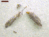  ( - NORIN_234_2013)  @12 [ ] CreativeCommons - Attribution Non-Commercial Share-Alike (2013) Unspecified Bioforsk