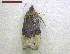  ( - NORIN_300_2013)  @12 [ ] CreativeCommons - Attribution Non-Commercial Share-Alike (2013) Unspecified Bioforsk