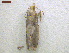  ( - NORIN_308_2013)  @12 [ ] CreativeCommons - Attribution Non-Commercial Share-Alike (2013) Unspecified Bioforsk