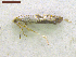  ( - NORIN_339_2013)  @12 [ ] CreativeCommons - Attribution Non-Commercial Share-Alike (2013) Unspecified Bioforsk