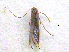  ( - NORIN_79-1_2013)  @12 [ ] CreativeCommons - Attribution Non-Commercial Share-Alike (2013) Unspecified Bioforsk