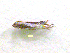  ( - NORIN_79-1_2013)  @12 [ ] CreativeCommons - Attribution Non-Commercial Share-Alike (2013) Unspecified Bioforsk