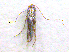  ( - NORIN_79-1_2013)  @12 [ ] CreativeCommons - Attribution Non-Commercial Share-Alike (2013) Unspecified Bioforsk