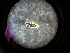  ( - NORIN_80-4_2013)  @12 [ ] CreativeCommons - Attribution Non-Commercial Share-Alike (2013) Unspecified Bioforsk
