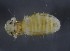  ( - NHMO-DAR-16749)  @11 [ ] by (2022) Unspecified University of Oslo, Natural History Museum