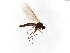  ( - TSZD-JKJ-104092)  @11 [ ] CreativeCommons - Attribution Non-Commercial Share-Alike (2018) Unspecified Tromsø University Museum