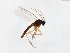  ( - TSZD-JKJ-104095)  @11 [ ] CreativeCommons - Attribution Non-Commercial Share-Alike (2018) Unspecified Tromsø University Museum