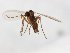  ( - TSZD-JKJ-104104)  @13 [ ] CreativeCommons - Attribution Non-Commercial Share-Alike (2018) Unspecified Tromsø University Museum