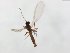  ( - TSZD-JKJ-104112)  @11 [ ] CreativeCommons - Attribution Non-Commercial Share-Alike (2018) Unspecified Tromsø University Museum