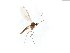  ( - TSZD-JKJ-104122)  @11 [ ] CreativeCommons - Attribution Non-Commercial Share-Alike (2018) Unspecified Tromsø University Museum