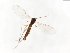  ( - TSZD-JKJ-104123)  @11 [ ] CreativeCommons - Attribution Non-Commercial Share-Alike (2018) Unspecified Tromsø University Museum