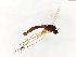  ( - TSZD-JKJ-104148)  @11 [ ] CreativeCommons - Attribution Non-Commercial Share-Alike (2018) Unspecified Tromsø University Museum