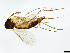  ( - TSZD-JKJ-101376)  @11 [ ] CreativeCommons - Attribution Non-Commercial Share-Alike (2015) Unspecified Tromso University Museum