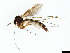  ( - TSZD-JKJ-101420)  @11 [ ] CreativeCommons - Attribution Non-Commercial Share-Alike (2015) Unspecified Tromso University Museum