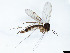  ( - TSZD-JKJ-101425)  @11 [ ] CreativeCommons - Attribution Non-Commercial Share-Alike (2015) Unspecified Tromso University Museum
